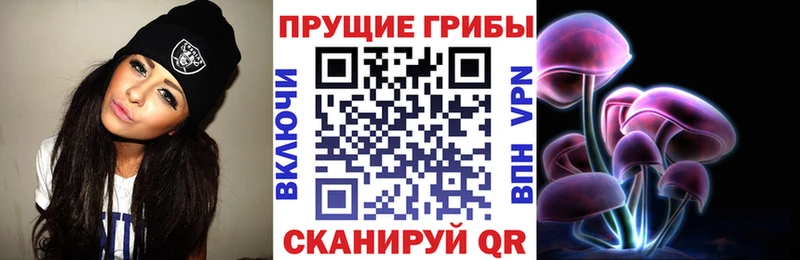 Псилоцибиновые грибы Cubensis купить наркоту Белёв